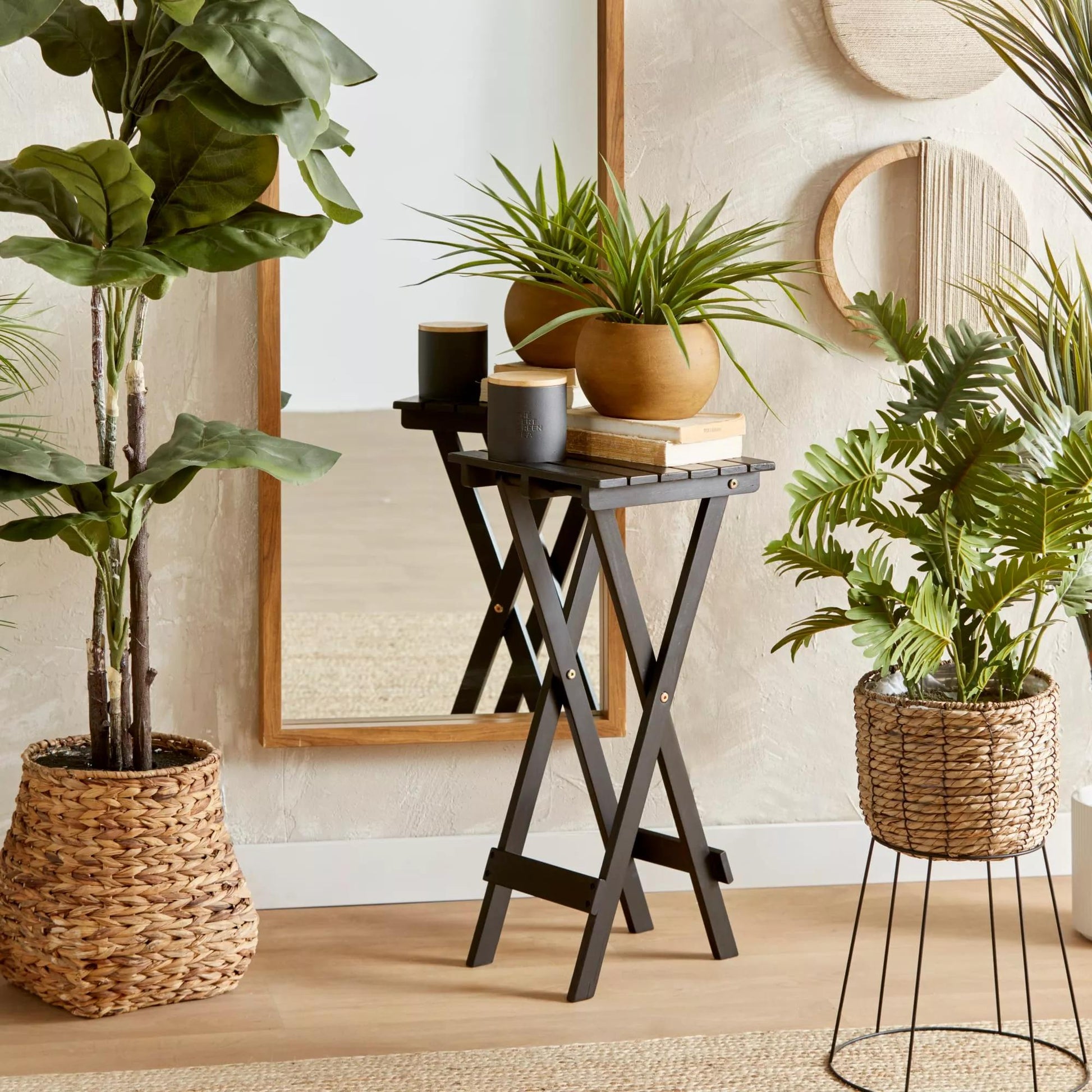 Large Ficus in Rattan Pot mysite
