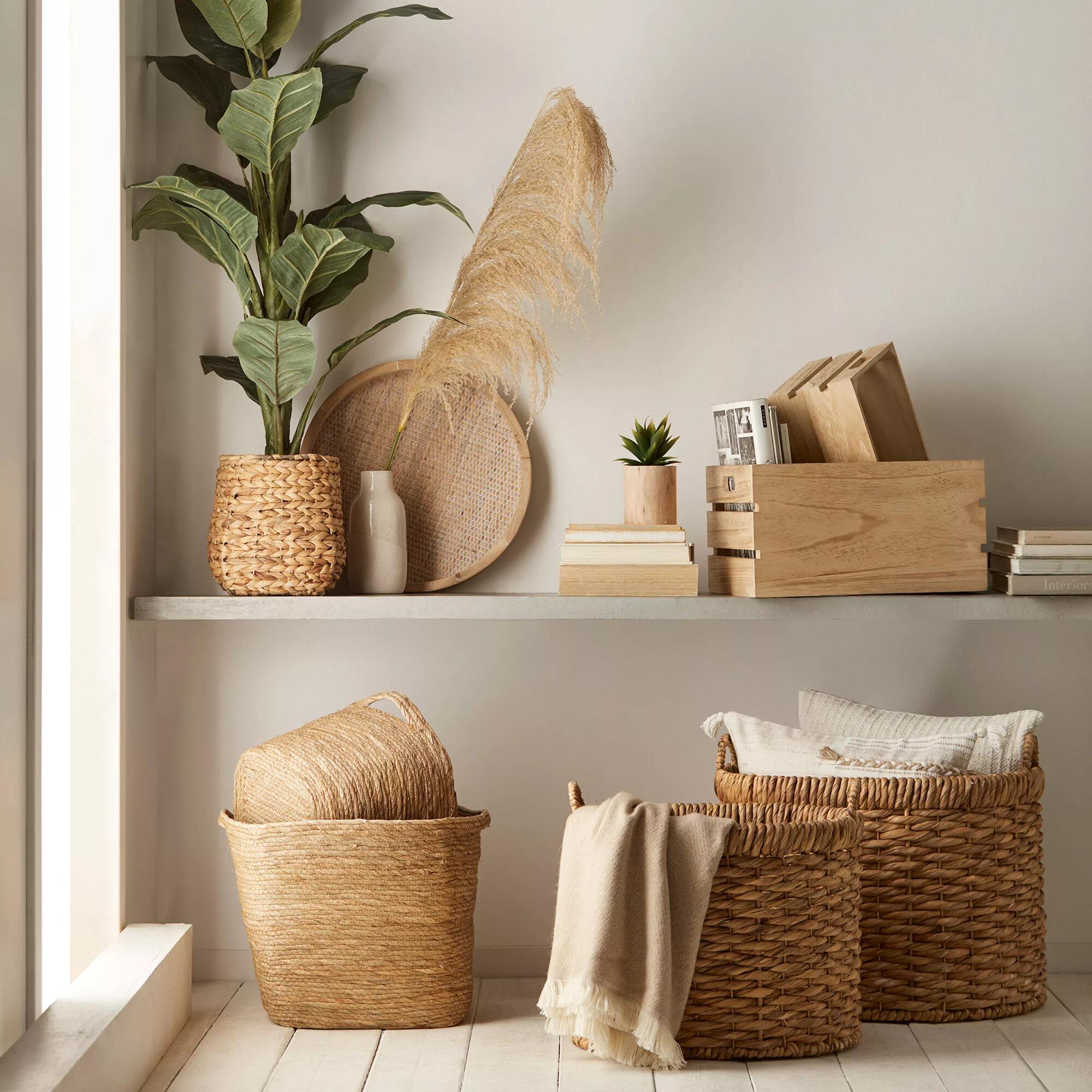 Large Ficus in Rattan Pot mysite