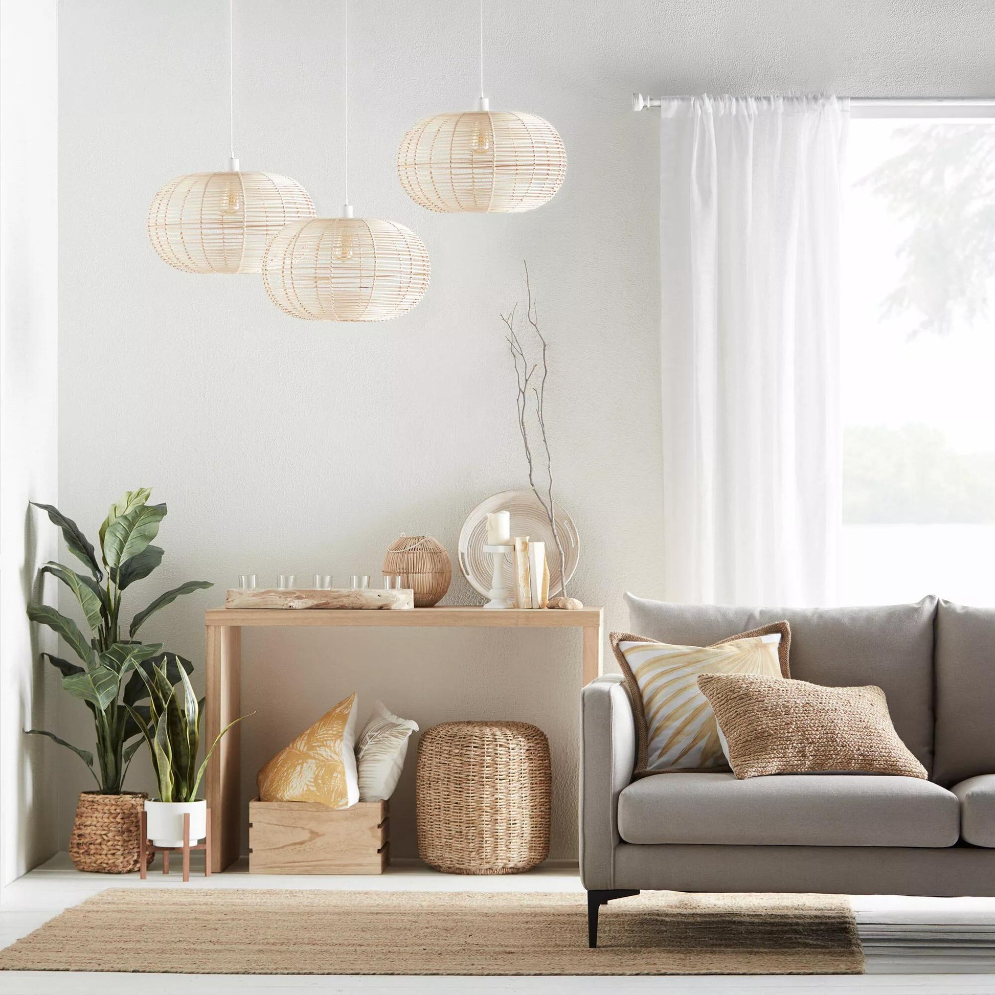 Large Ficus in Rattan Pot mysite