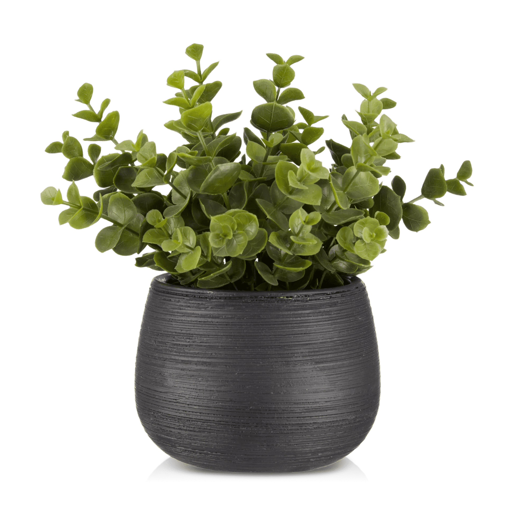 Artificial Plant in Striped Pot mysite
