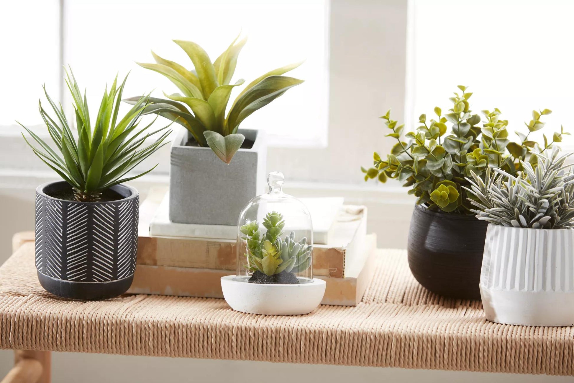 Artificial Plant in Striped Pot mysite