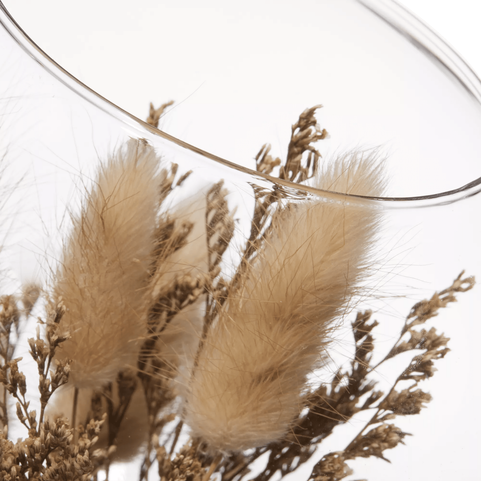 Dried Flowers Glass Dome mysite