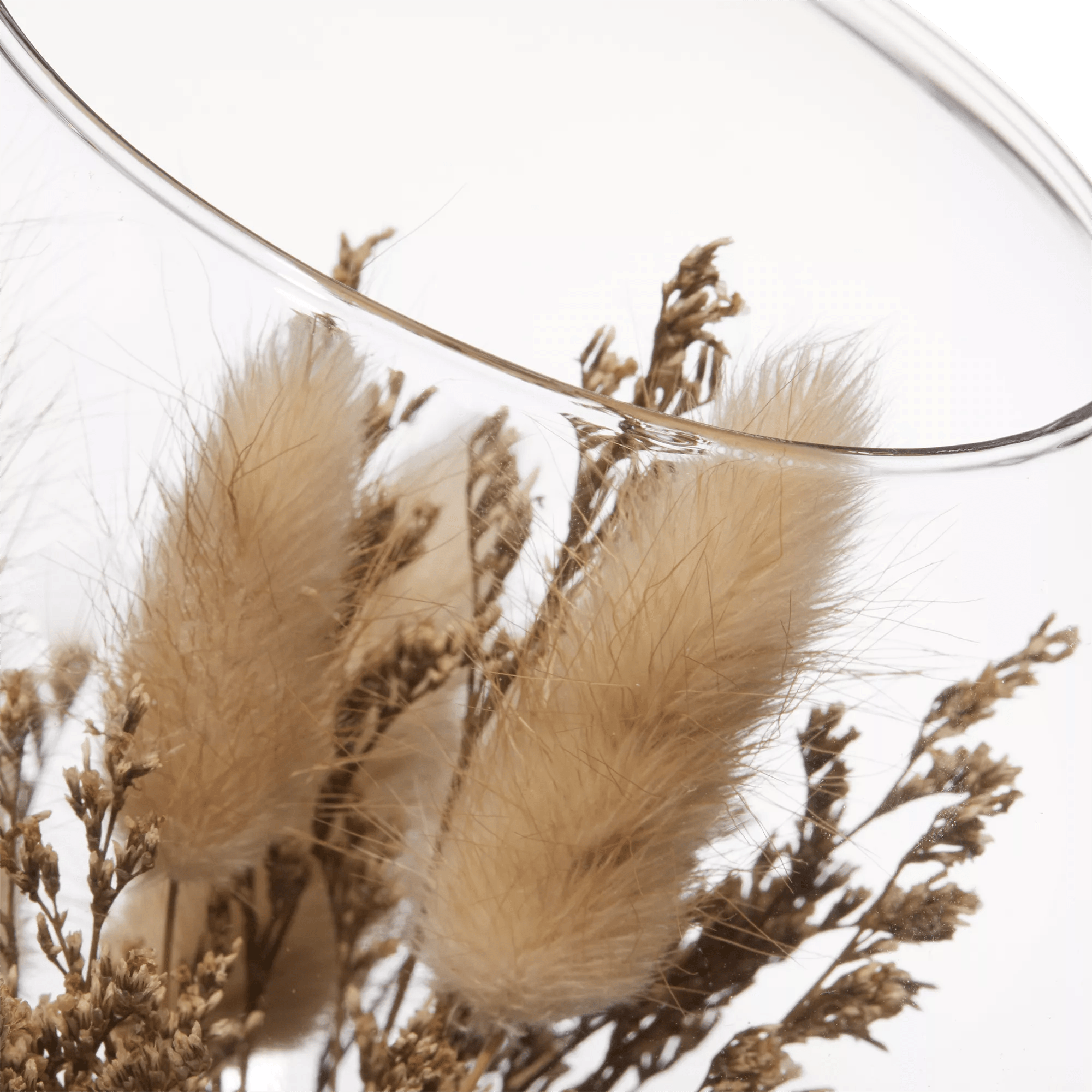 Dried Flowers Glass Dome mysite