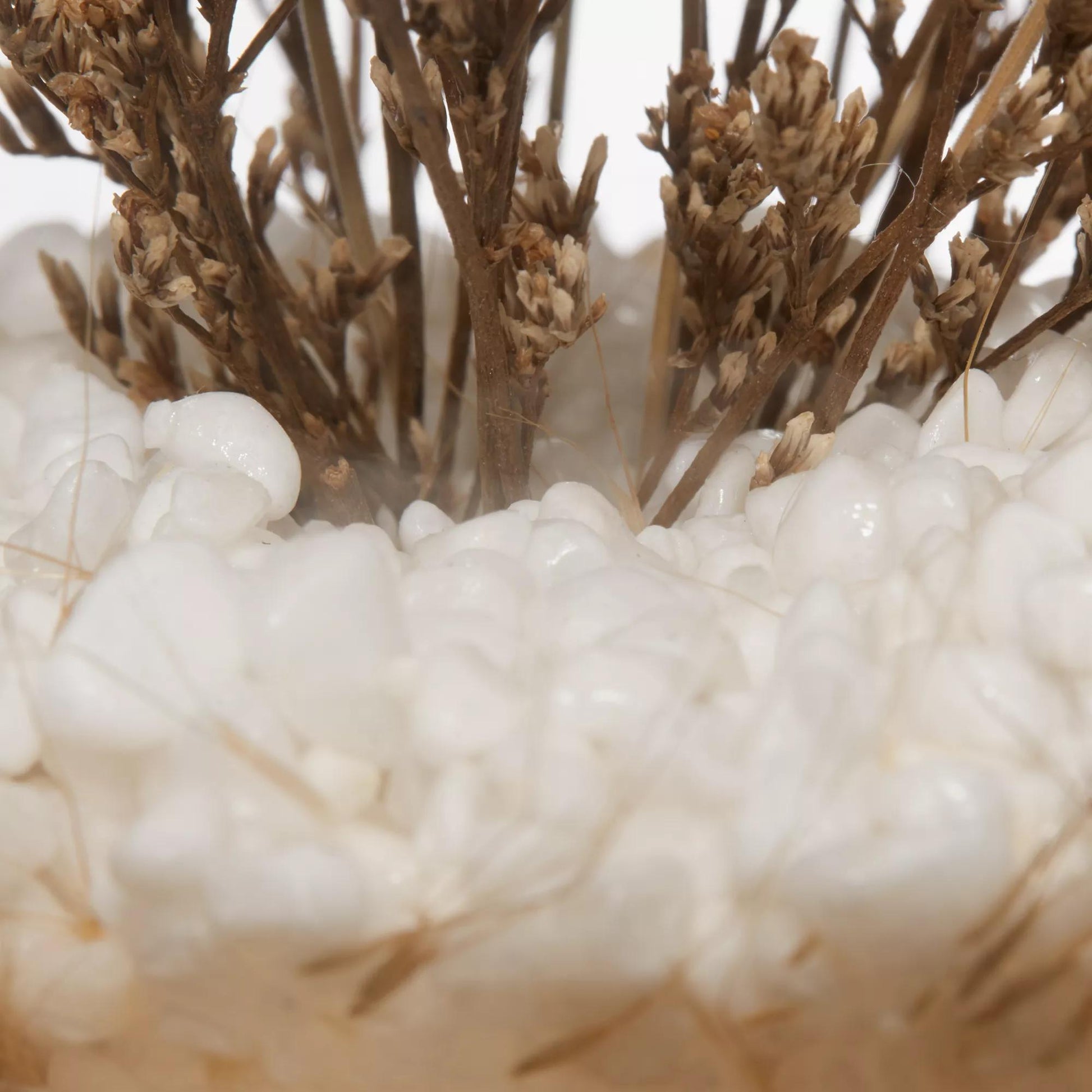 Dried Flowers Glass Dome mysite