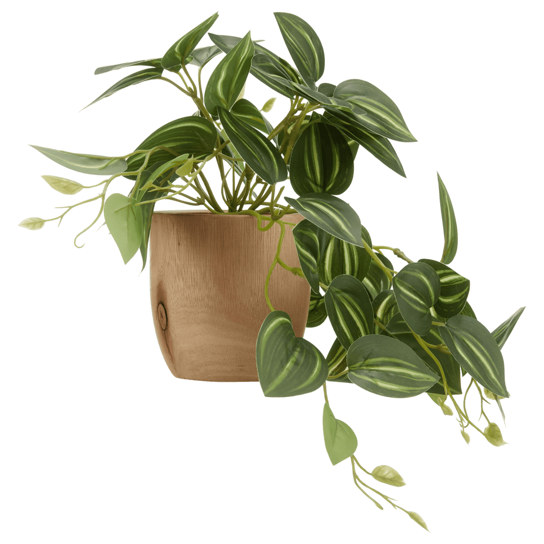 Artificial Fittonia in Wood Pot mysite