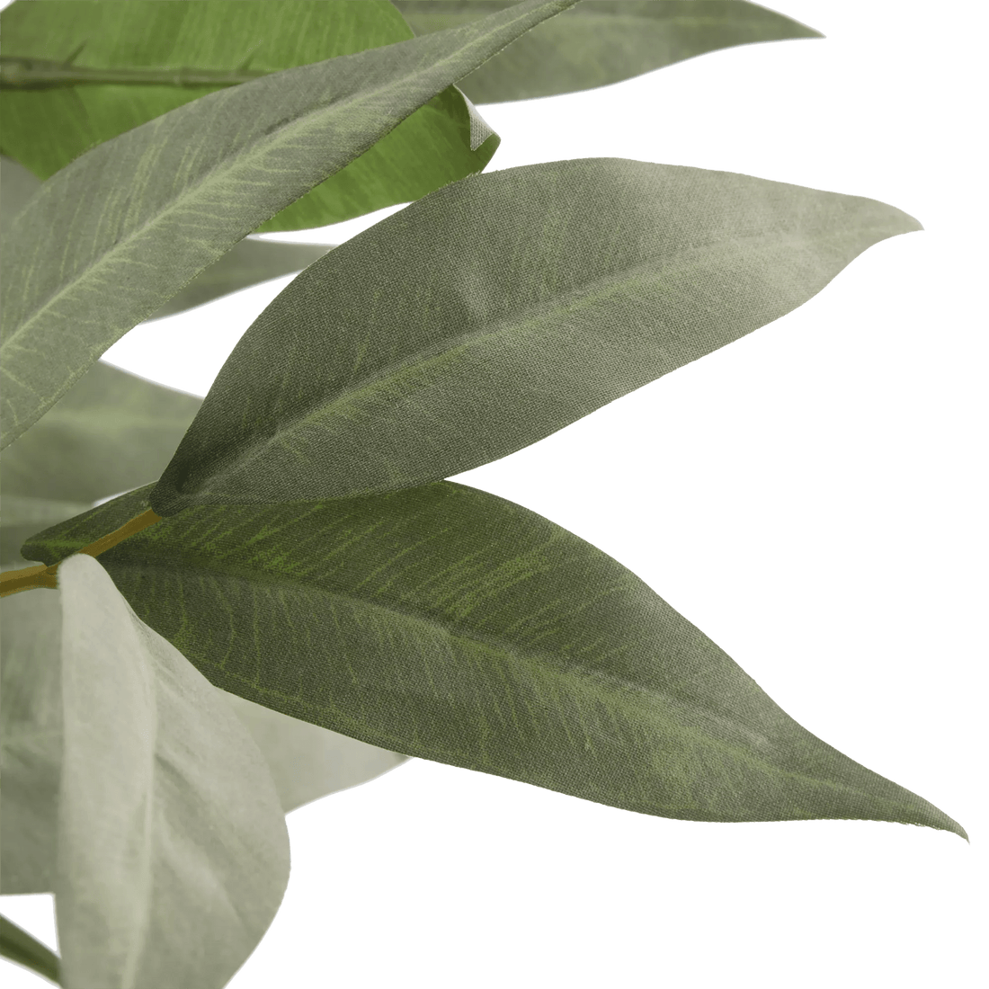 Aritificial Eucalyptus Plant in Ceramic Pot mysite