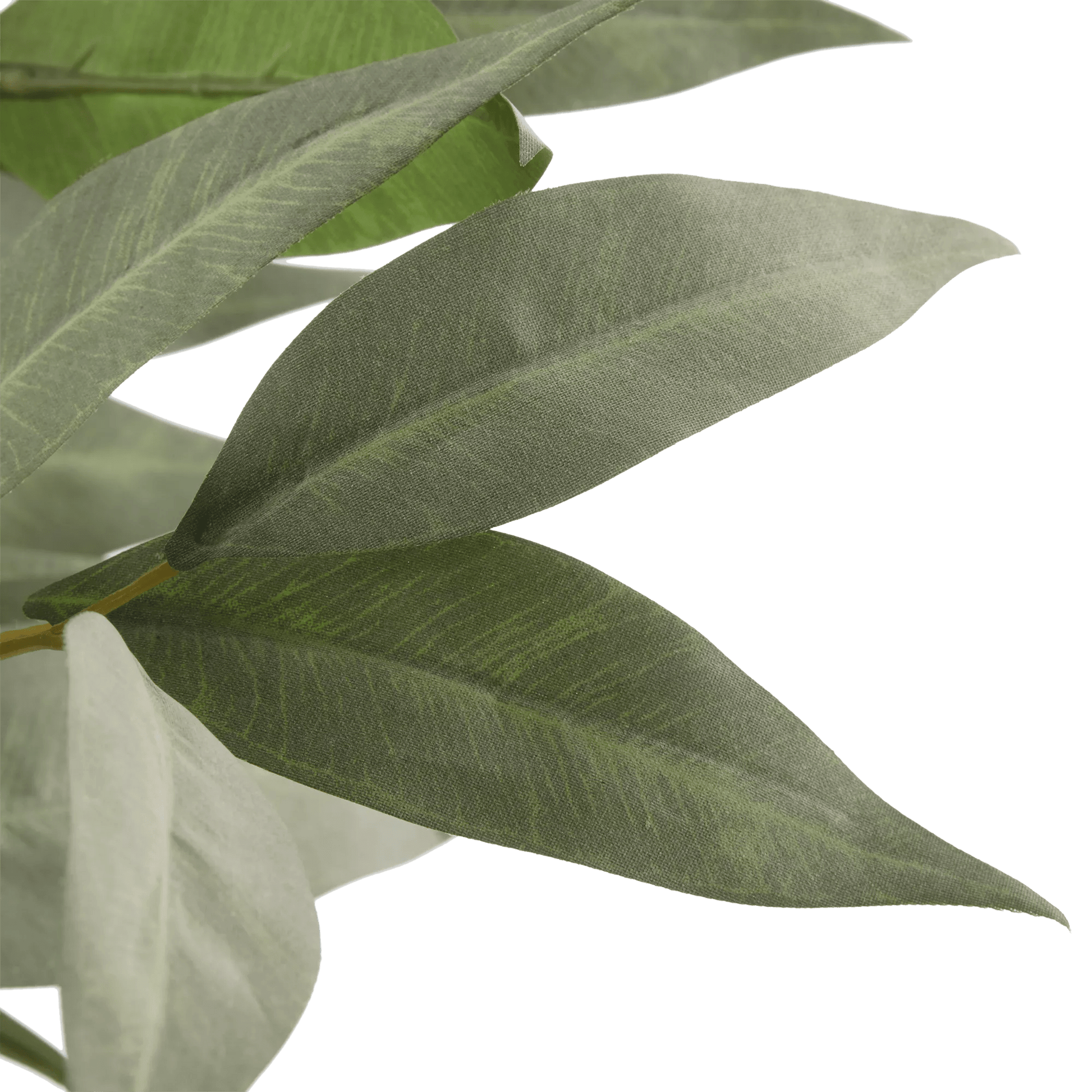 Aritificial Eucalyptus Plant in Ceramic Pot mysite