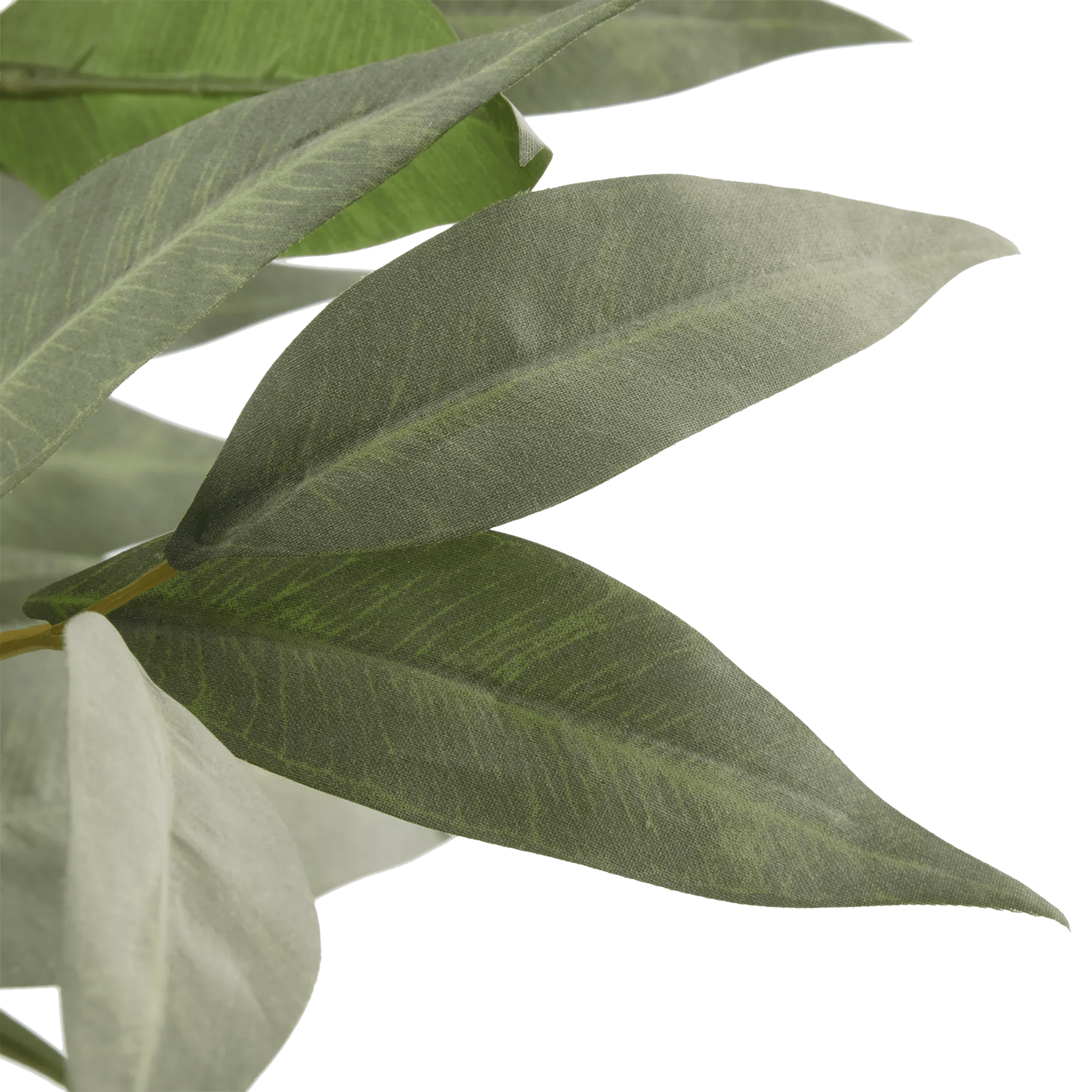 Aritificial Eucalyptus Plant in Ceramic Pot mysite