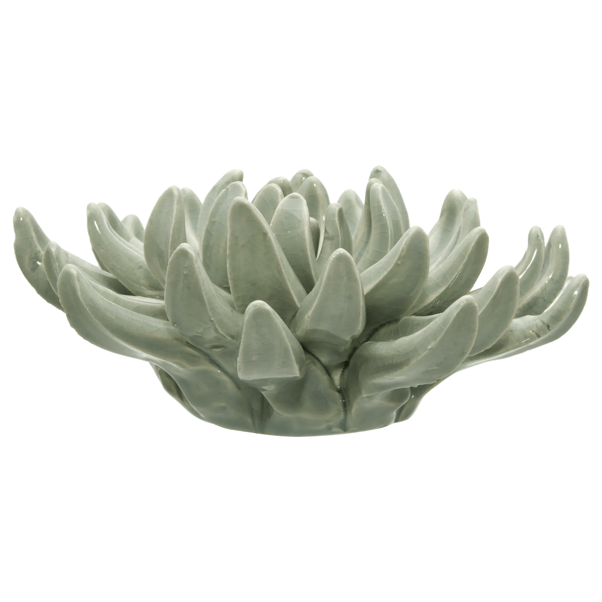 Ceramic Succulant mysite