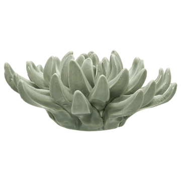 Ceramic Succulant mysite