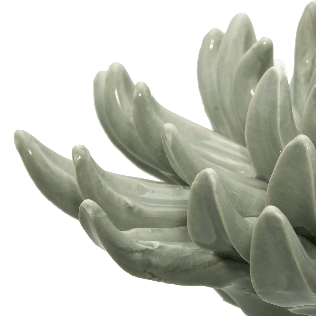 Ceramic Succulant mysite
