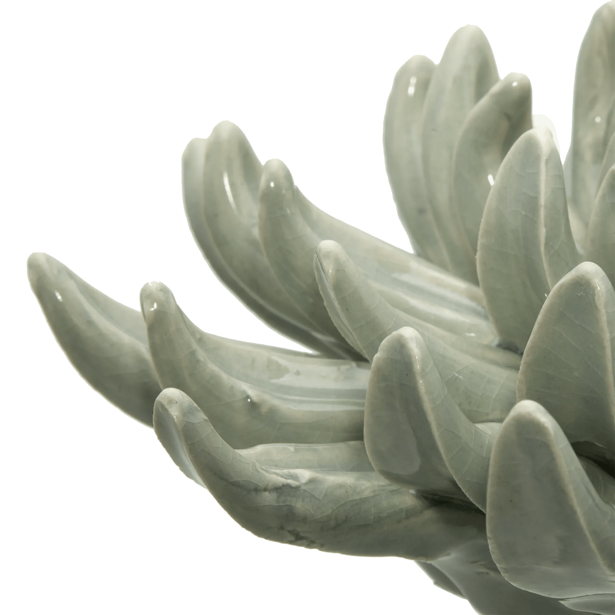 Ceramic Succulant mysite