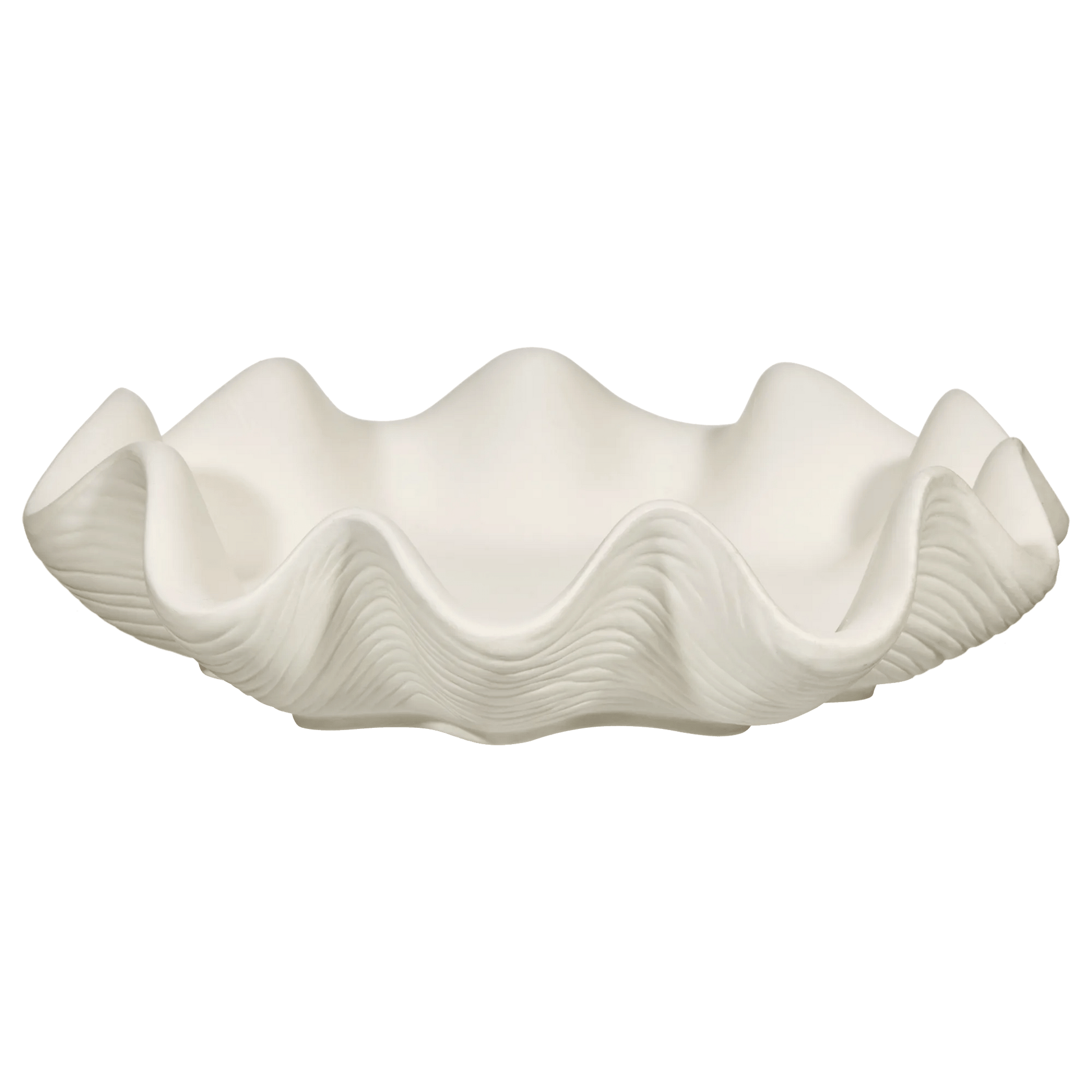Shell Decorative Bowl mysite