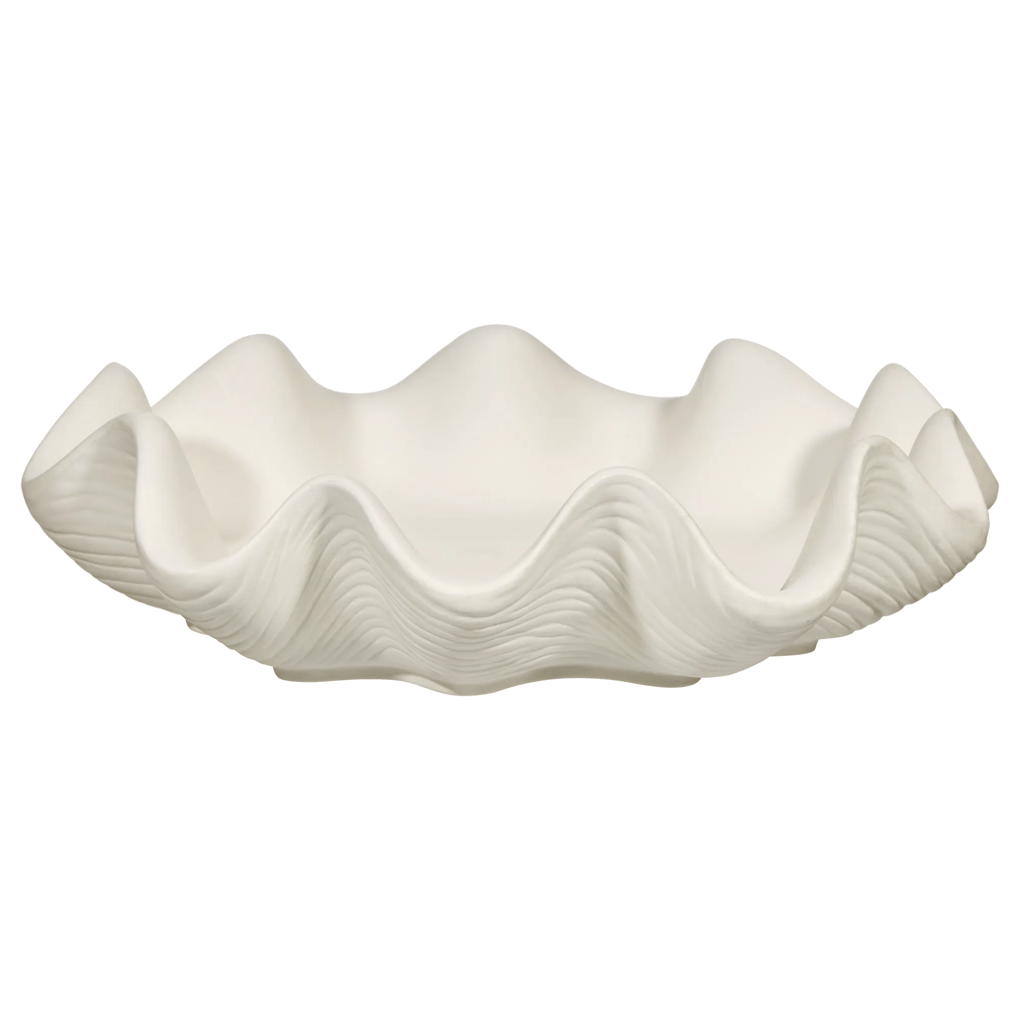Shell Decorative Bowl mysite