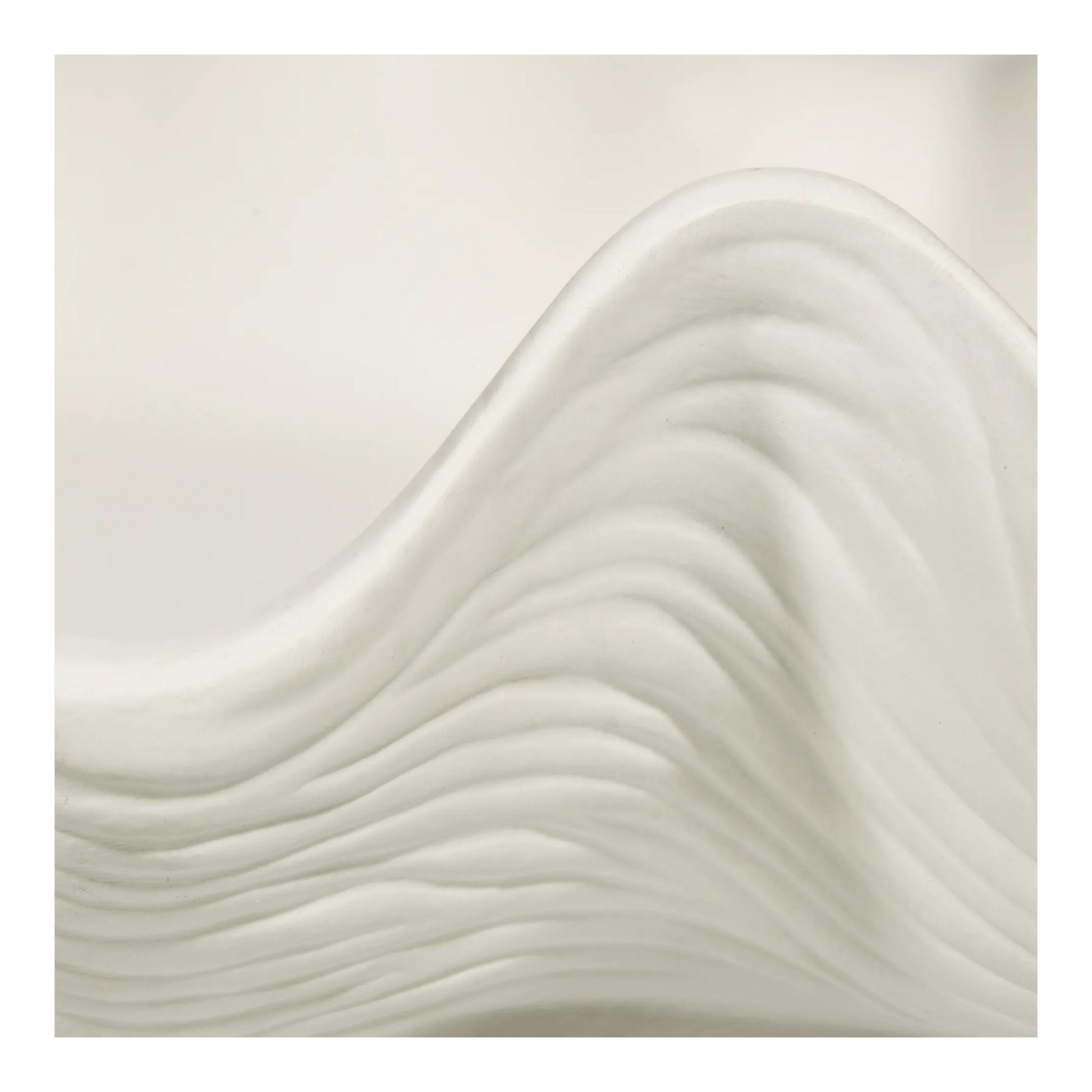 Shell Decorative Bowl mysite