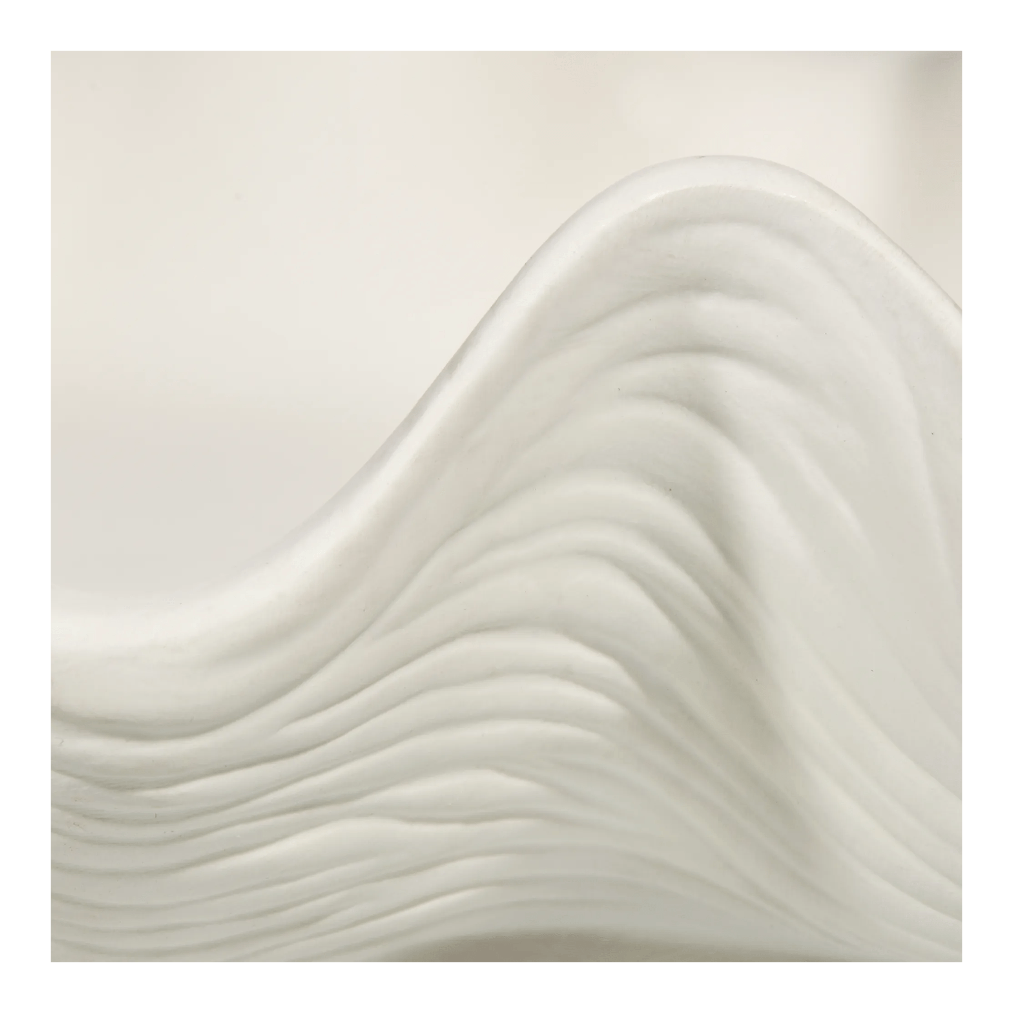 Shell Decorative Bowl mysite