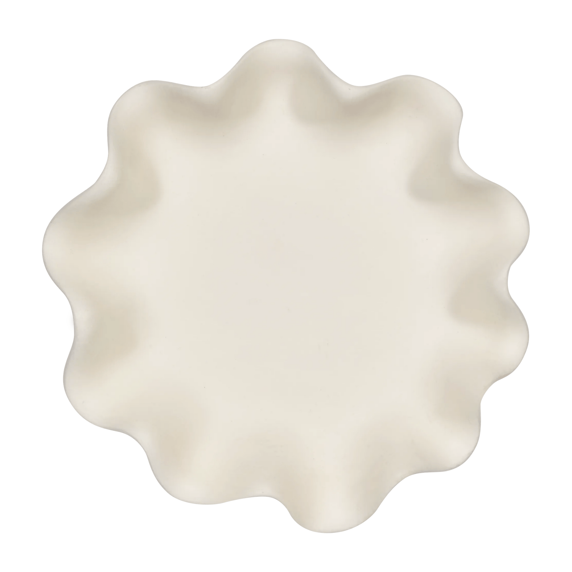 Shell Decorative Bowl mysite