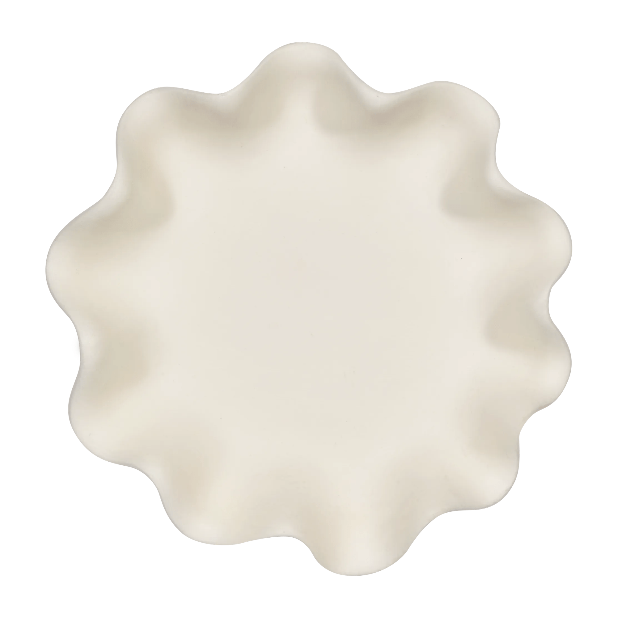 Shell Decorative Bowl mysite