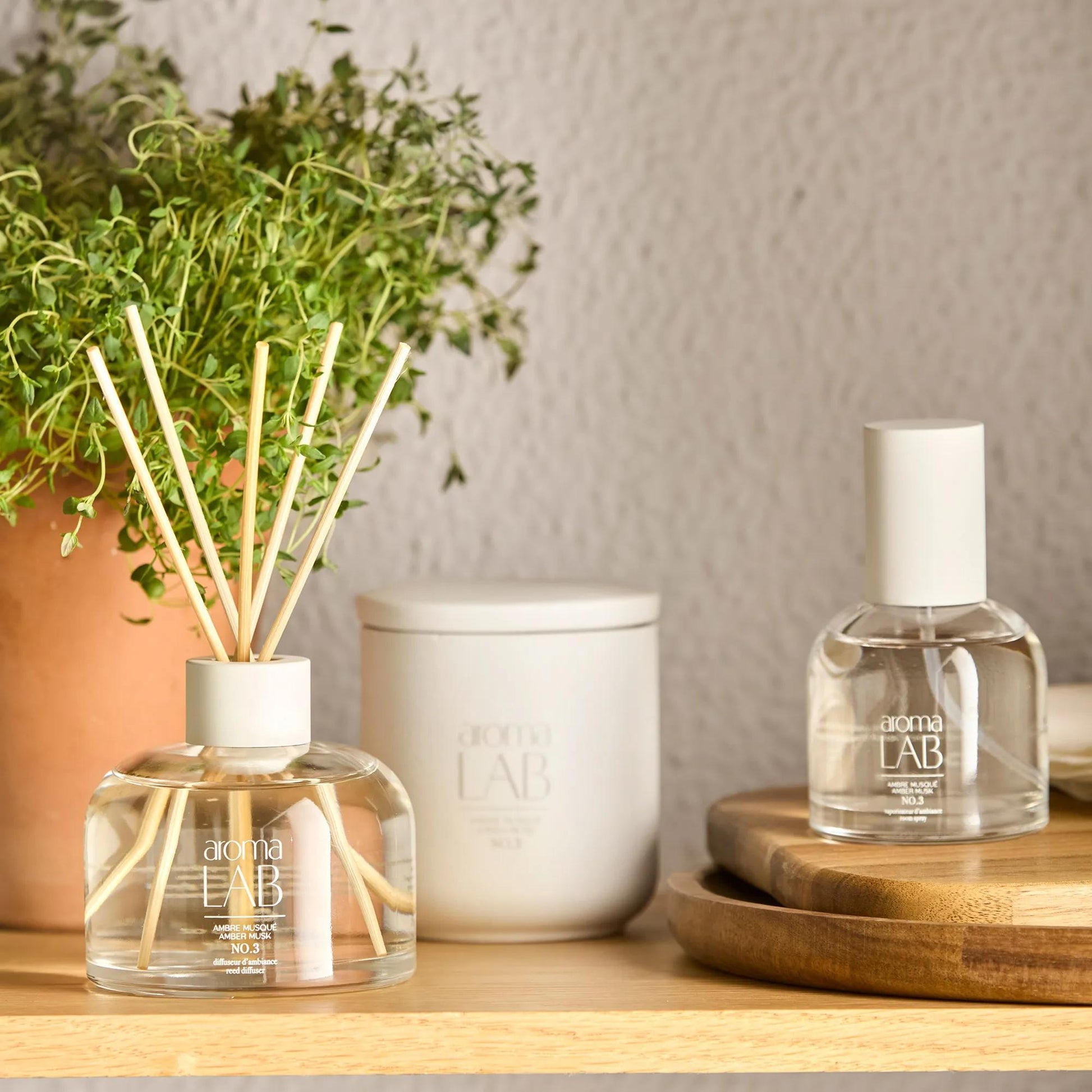 Amber Musk Diffuser - Aroma Lab mysite