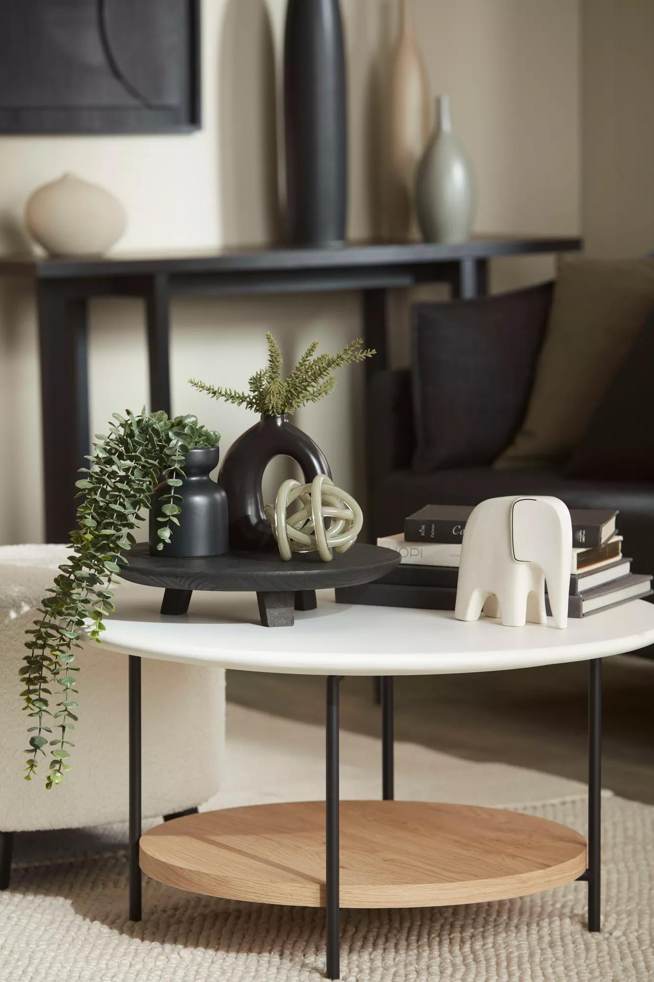 Waterfall Eucalyptus in Black Pot mysite